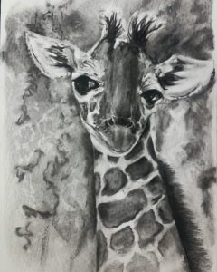 giraffe charcoal